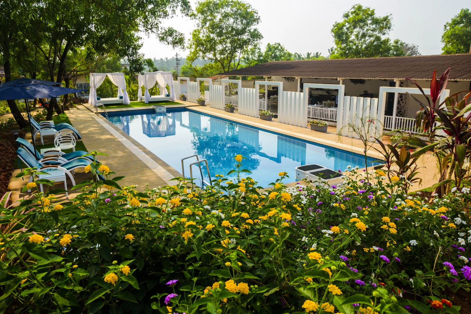 White Woods Resort